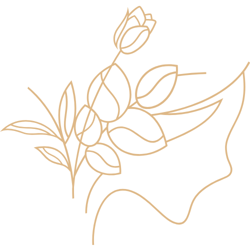 image-illustration
